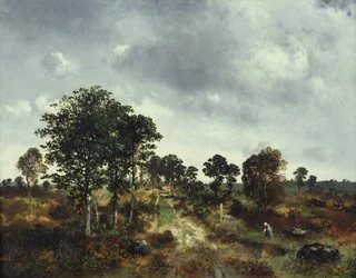 Landscape